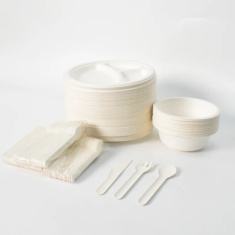 Factory Direct Price Delicate Dinnerware Sets Disposable Plates Sets For Party Kids Party Paper Plates