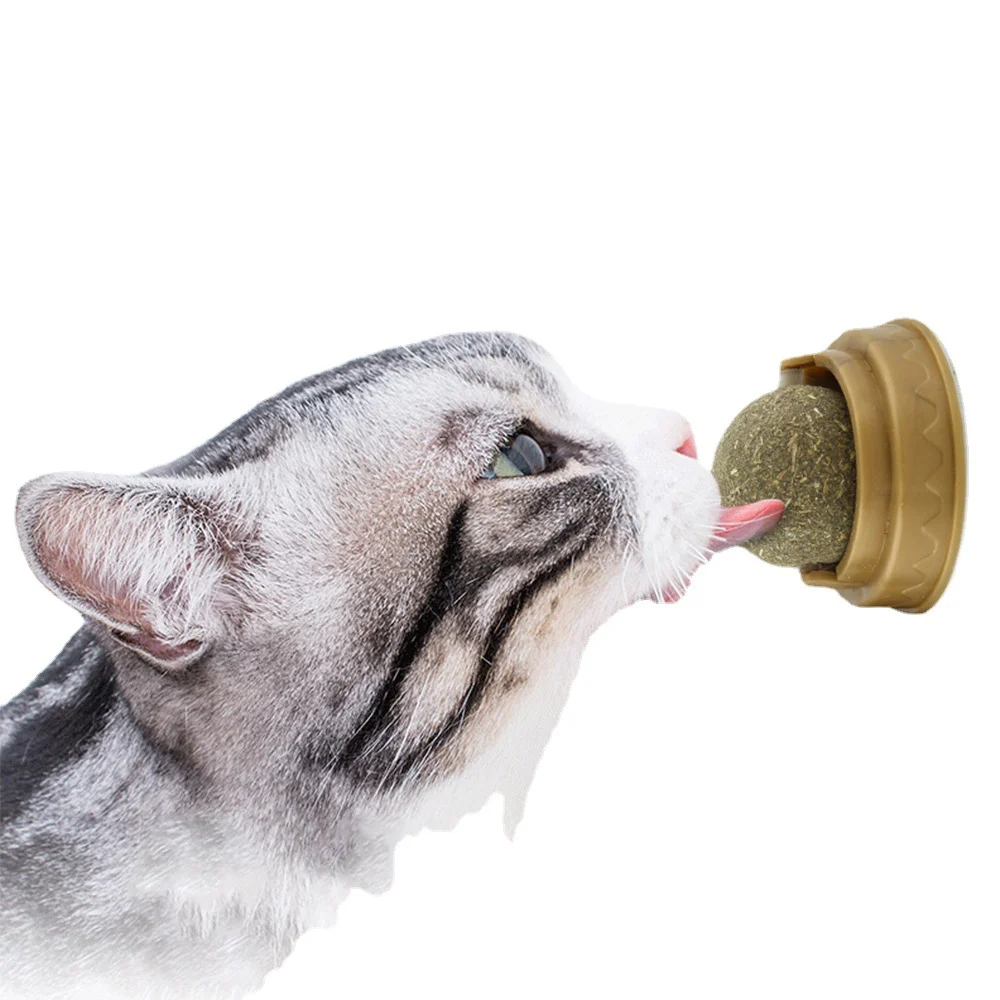 Interactive Catnip Edible Licking Balls Bestselling Lick Toy for Healthy Teeth and Gums Pet Chew Ball for Cats