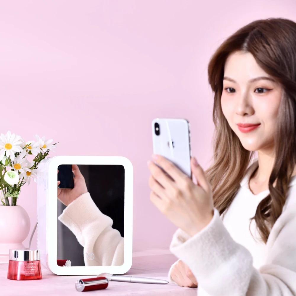 4 L/6 Can AC/DC  Cooler Warmer refrigerator car fridges small mini fridge for truck compressor cooler box vehicle accessories