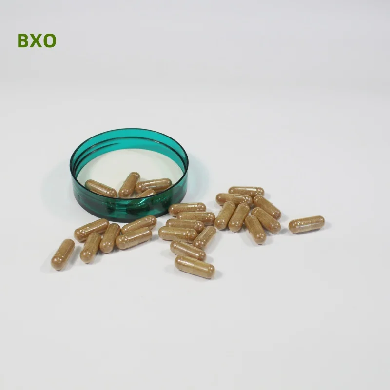 GMP ISO Compound Pills vitamins zinc amino acids coenzymes Hard Capsules