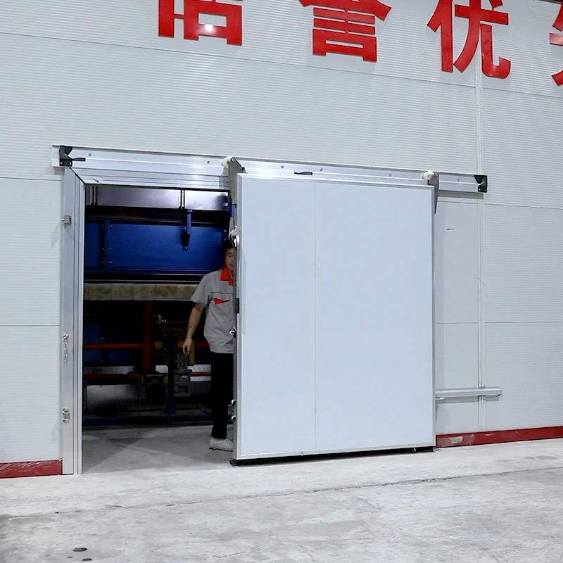 Tianqiao Beef Chicken Walk In Freezer Cold Storage Doors Color Steel Semi Buried Door Stainless Steel Cold Room Sliding Door