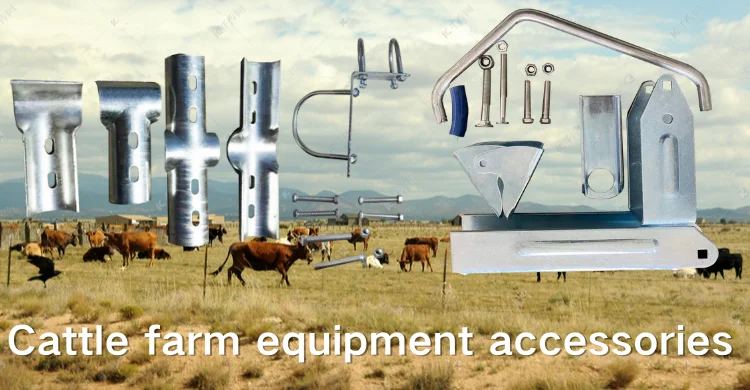 cattle Farming Equipment dairy farm equipment cow free stall cattle headlock accessories