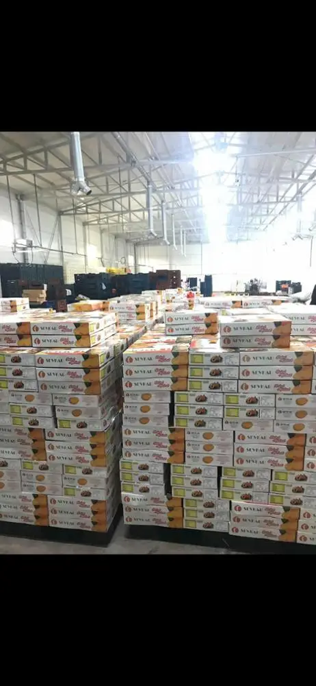 
Dried Apricots Available... 