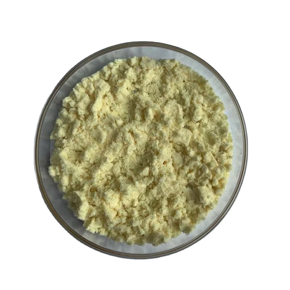 High Quality Ginger Extract Gingerol 5% Ginger Powder Water Soluble Ginger Extract