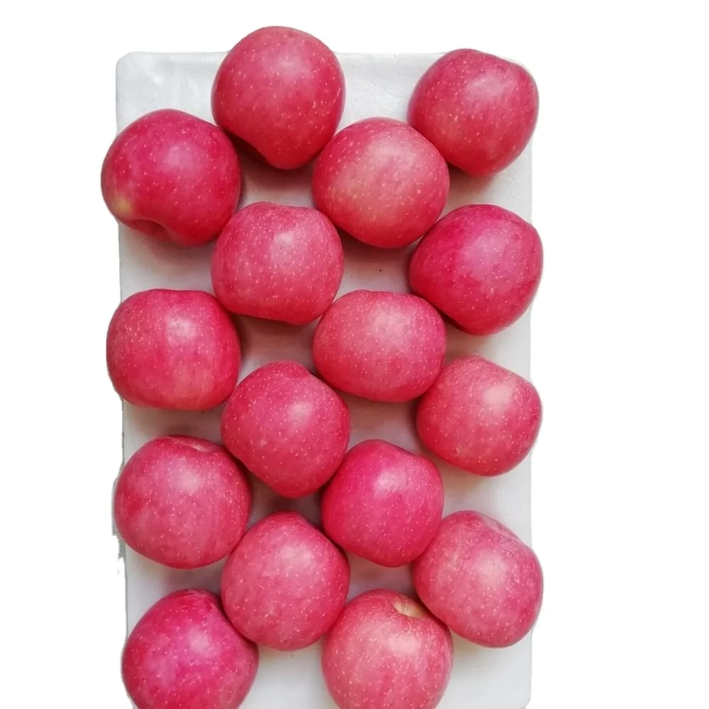 
Fresh Apple Fruit Fuji Apple of Yantai Area 