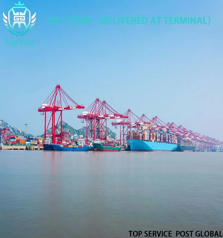 China Sea Ocean Freight Forwarder Shipping Agent Rates From Ningbo Guangzhou Xiamen Shenzhen Port To Canada Toronto Vancouver