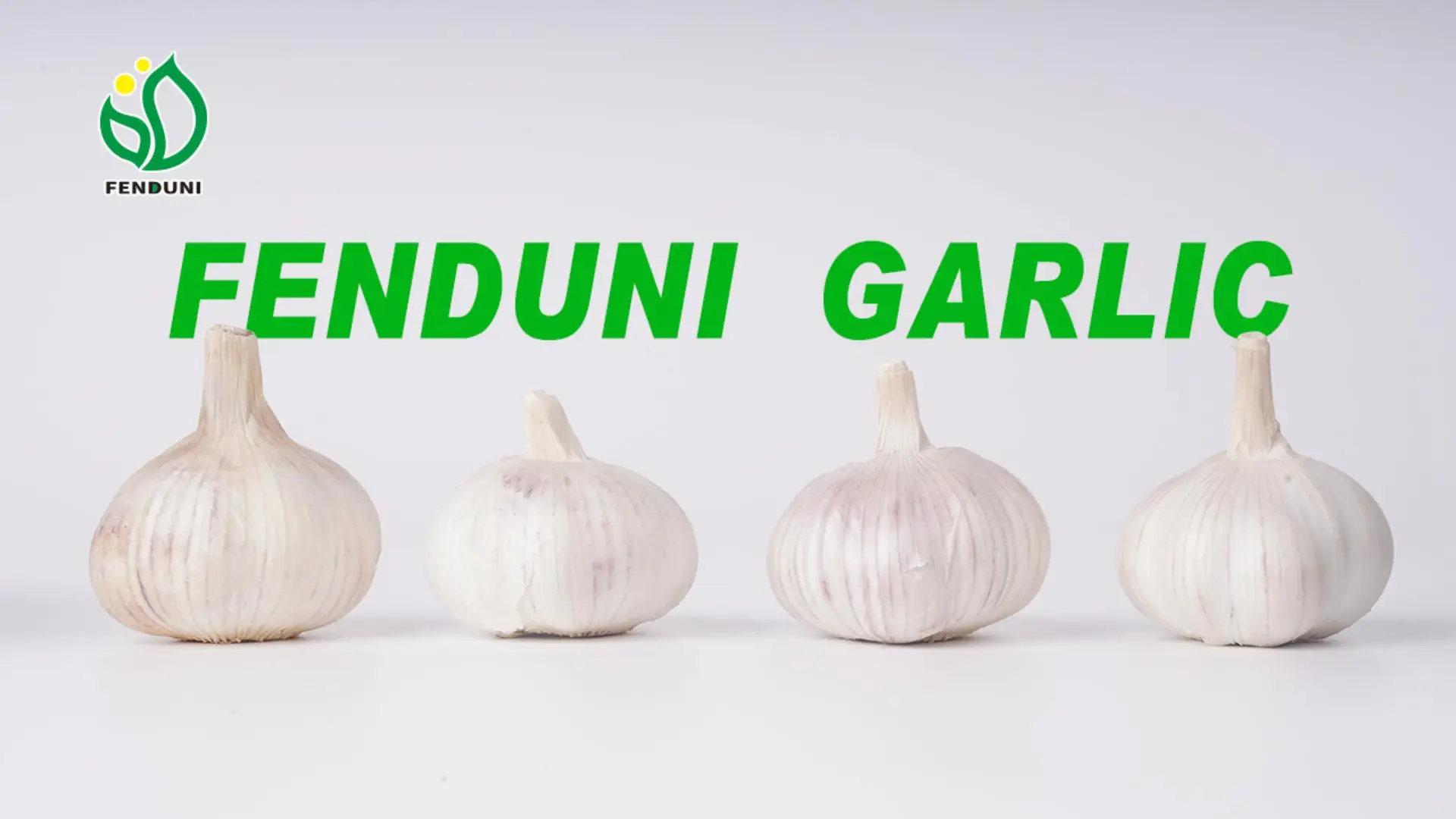 Order New Arrival Fresh White Garlic from China Fenduni Garlic Supplier 1KG/500G/250G Export Tuinis/Kenya/Uganda