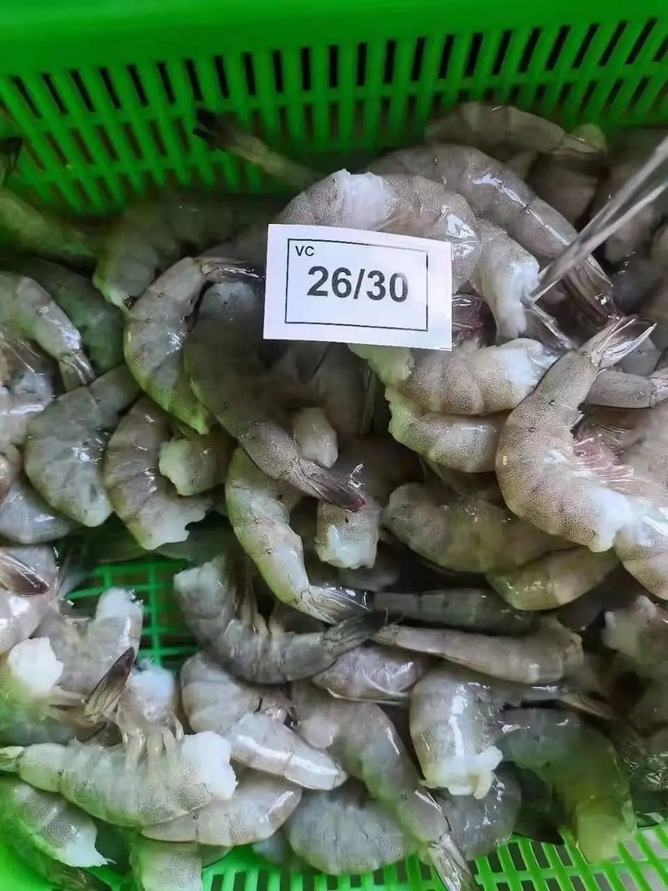 Good Sale Frozen Vannamei Shrimp High Quality