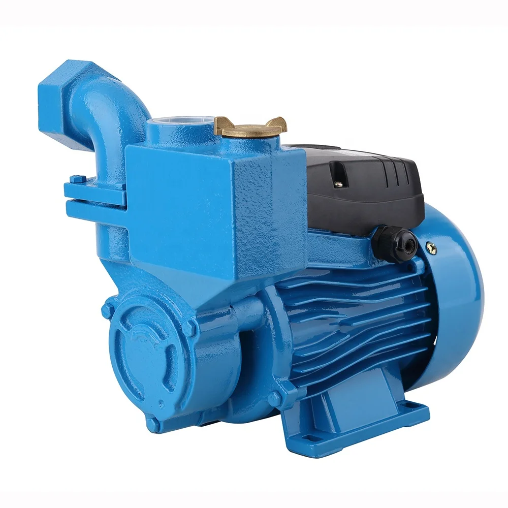220V 50HZ 0.5Hp Iraq Hot Sale Wholesale 1 Inch Automatic Water  Pump With Handle