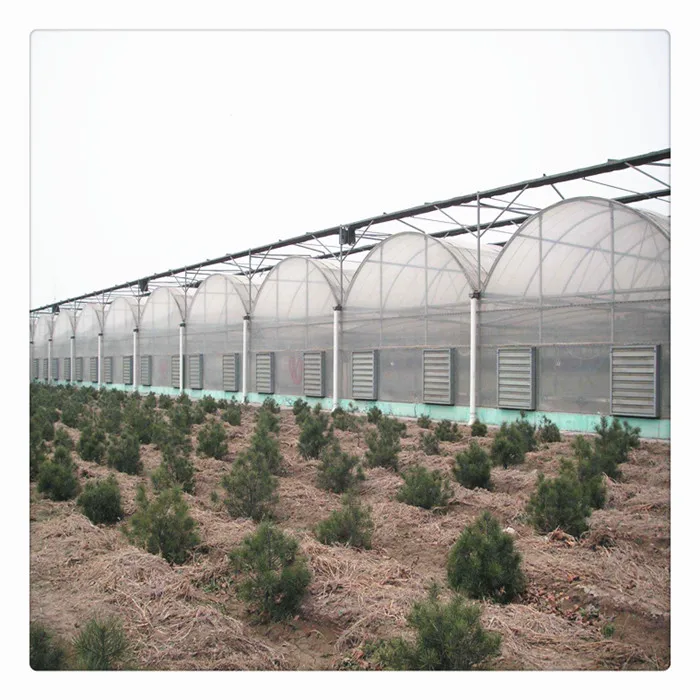 Commercial Steel Frame Poly Tunnel Plastic Film Multi Span Greenhouses