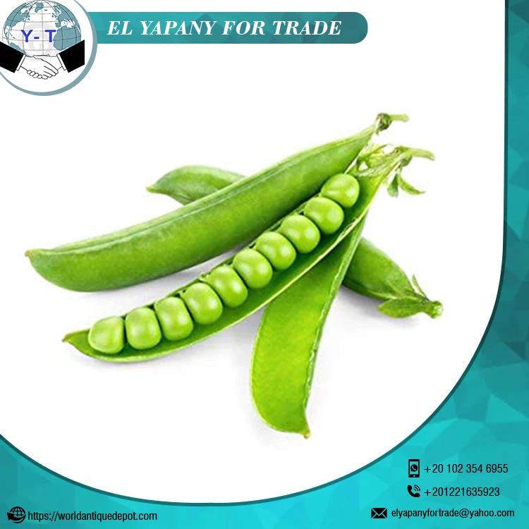Hot Sale Green Peas