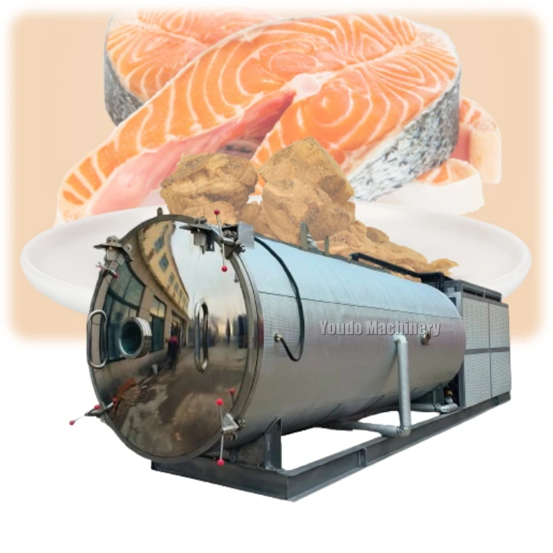 State-of-the-Art Freeze-Dried Fish Machine Revolutionize Seafood Preservation with Our Food Processing Production Line