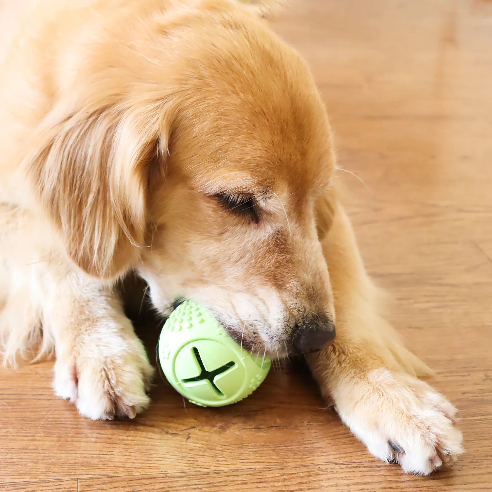Pet Dog Toys Latex Dog Tough Chew Toys Tooth Cleaning Treat Ball Interactive Funny Dog TPR Rubber Ball Toy