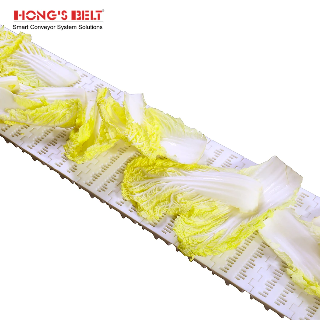 Hongsbelt HS-100B-HD Curved Modular Conveyor Chain Belt Modular Belt For Food Grade
