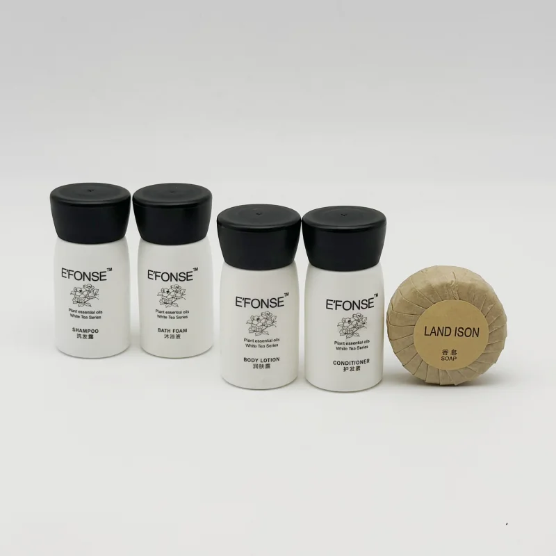 Custom OEM 3-5 Star Disposable Biodegradable Eco Friendly Hotel Amenities Guest Toiletries Kit Accessories Set