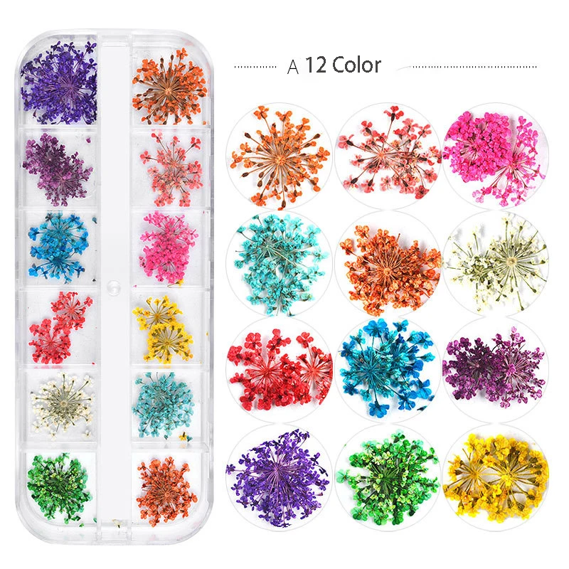 New Japanese nail dried flowers 12-color star Sun Flower Daisy 12-color dried flowers boxed