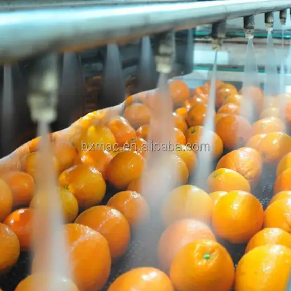 Commercial leafy vegetable washing machine potato cleaning equipment