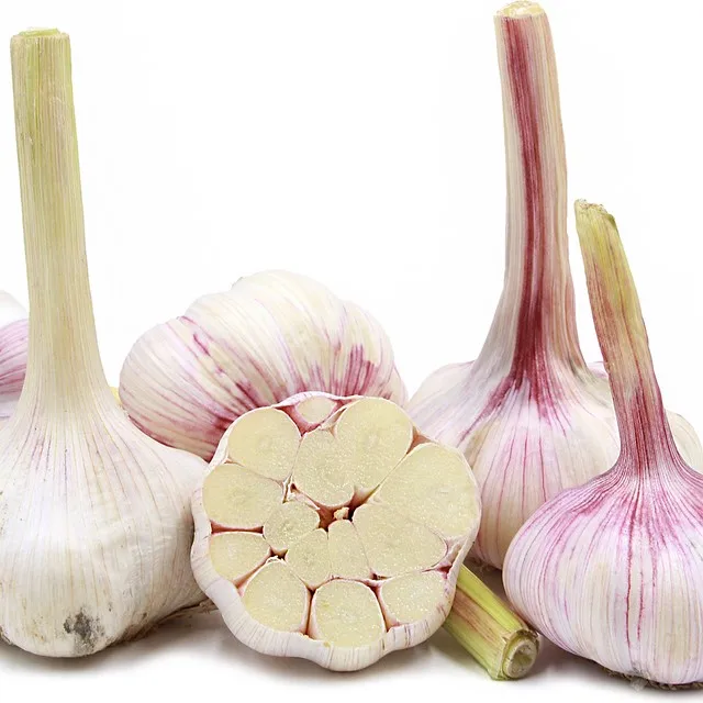 Best price new crop fresh garlic original supplier full dried goods garlic from garlic factory