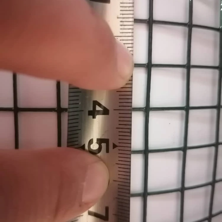 Поиск сварной сетки зеленого цвета с ПВХ покрытием, горячеоцинкованная/электрическая гальванизированная 1/2 '3/4', сварная сетка/авиационная проволока 12 мм x 12 мм, оптовая продажа