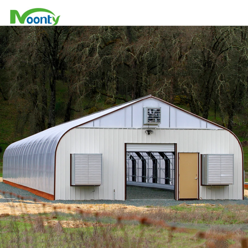 Greenhouse Made in China Tunnel Hoop House Agricultural Greenhouse