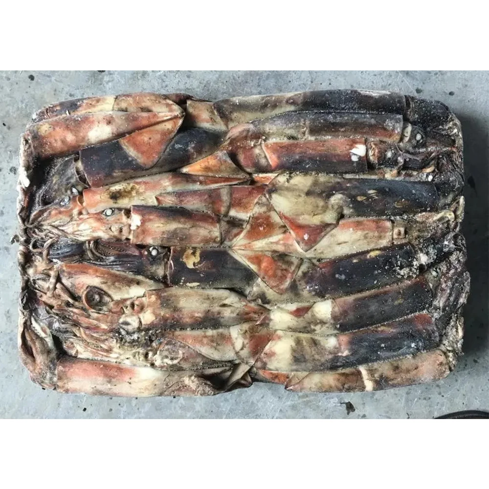 High quality gigas squid frozen white squid 22cm 12cm illex squid price