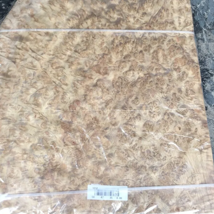 Golden Camphor Burl Veneer for Furniture