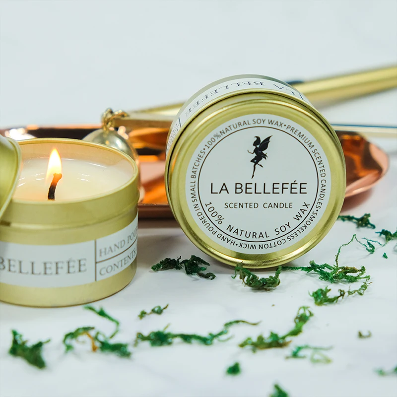 
Custom Decor Organic Aromatherapy Soy Candle Private Label Tin Scented Candle for Gift Set 