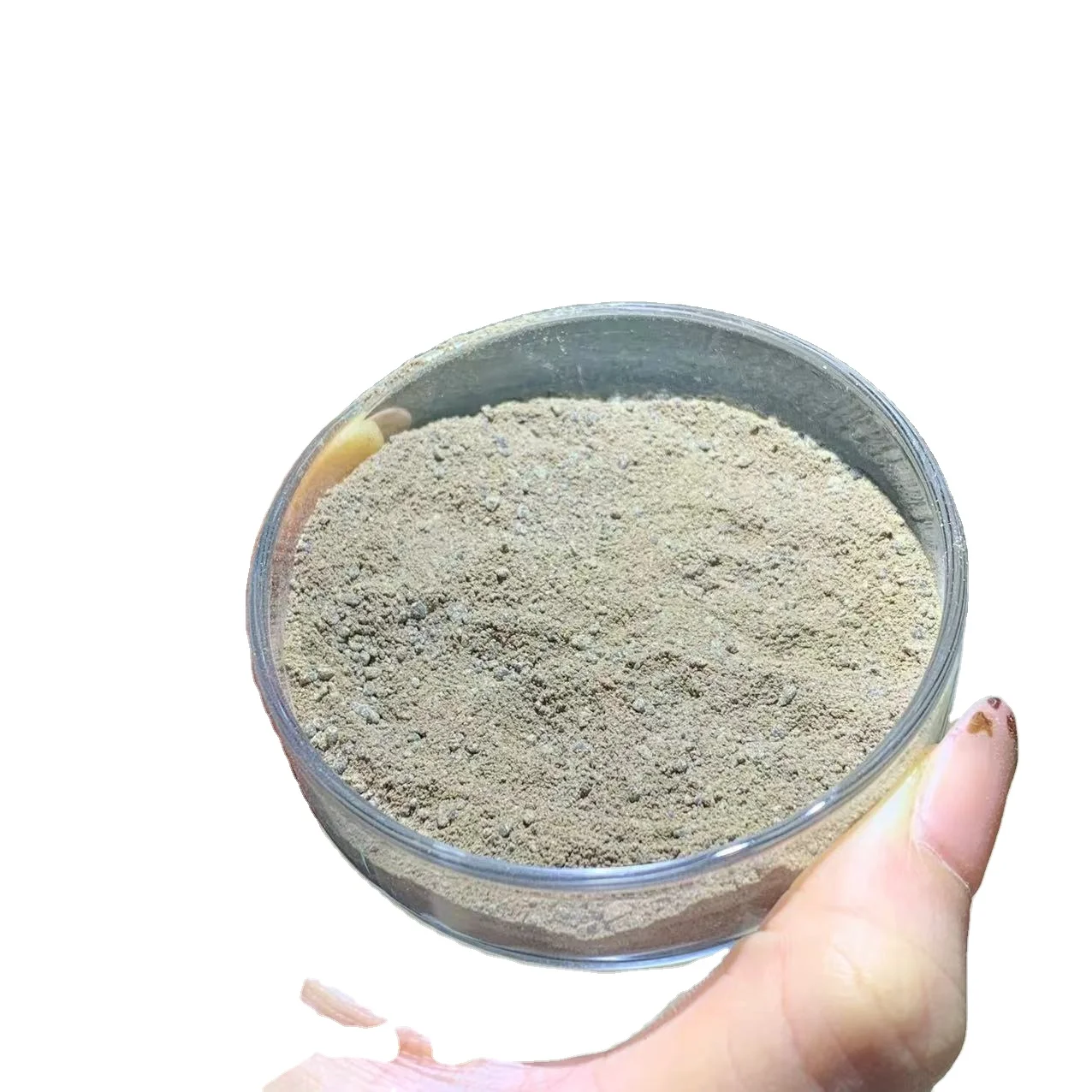 Single Cell Protein 70% for animal feed MSG residue