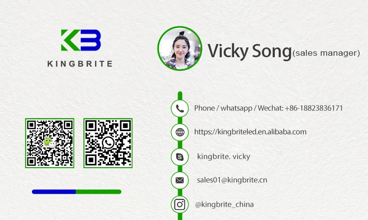 Vicky-Song