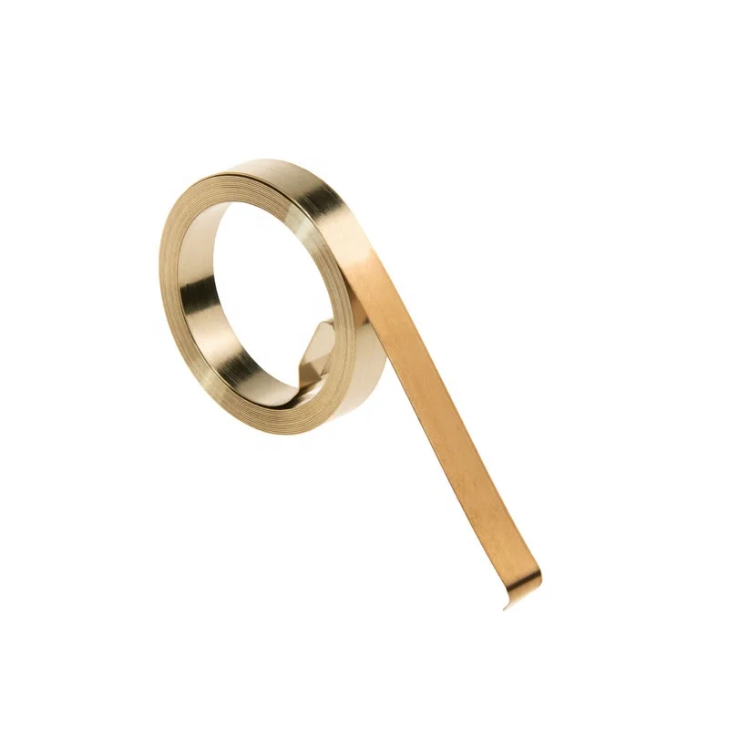 Manufacturer Starter Extension Large Spiral Stainless Steel Dog Leash Curtain cable Clock Power Spring Flat Spiral Spring