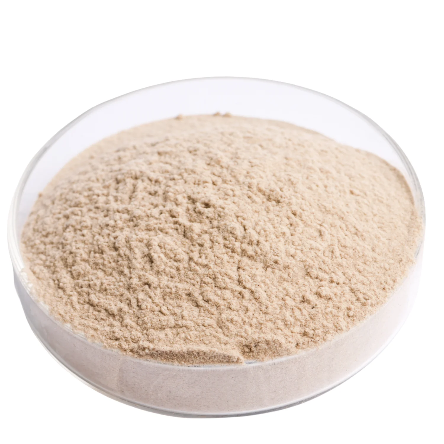 Factory price 80% spongilla spicule powder for turkey  cosmetics manufacture