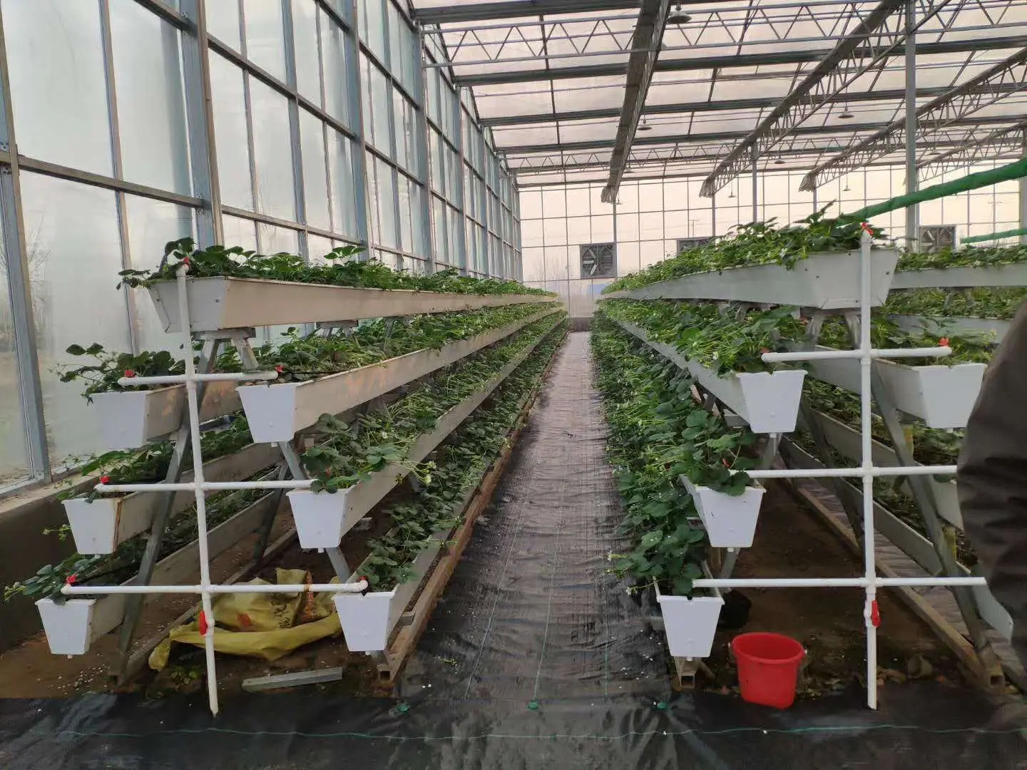 Strawberry trough  Plastic trapezoidal planting trough Hydroponic system