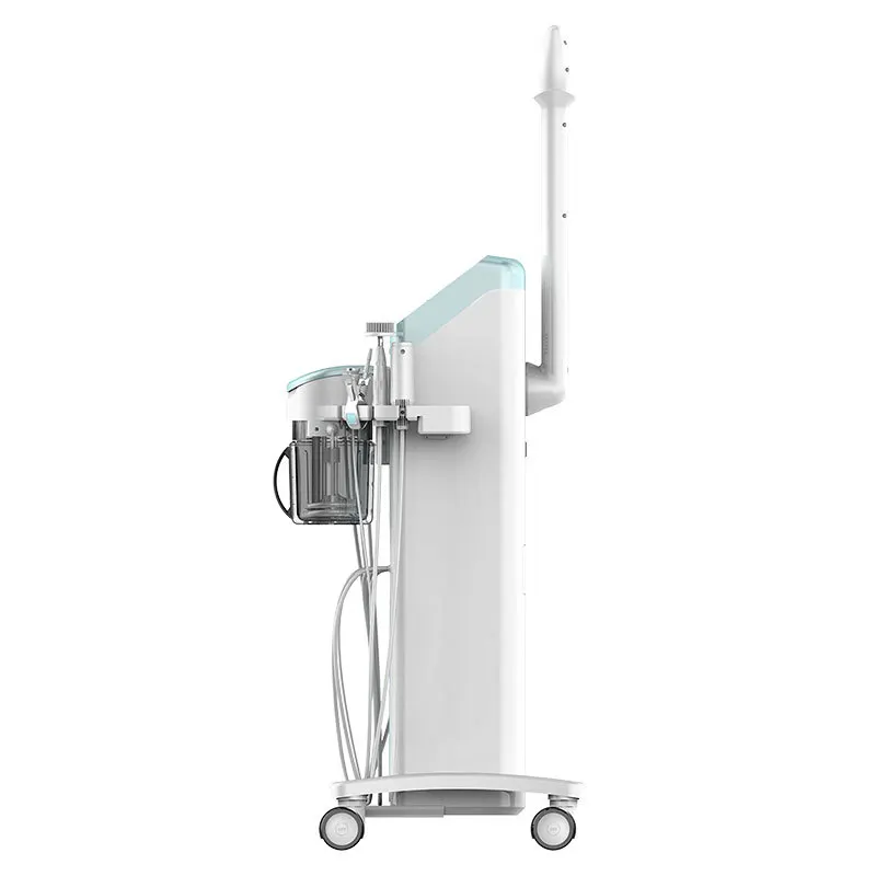 Multifunctional Face Skin Ems Rf Radio Frequency Device Facial Led Photon Korean Skin Care Machine