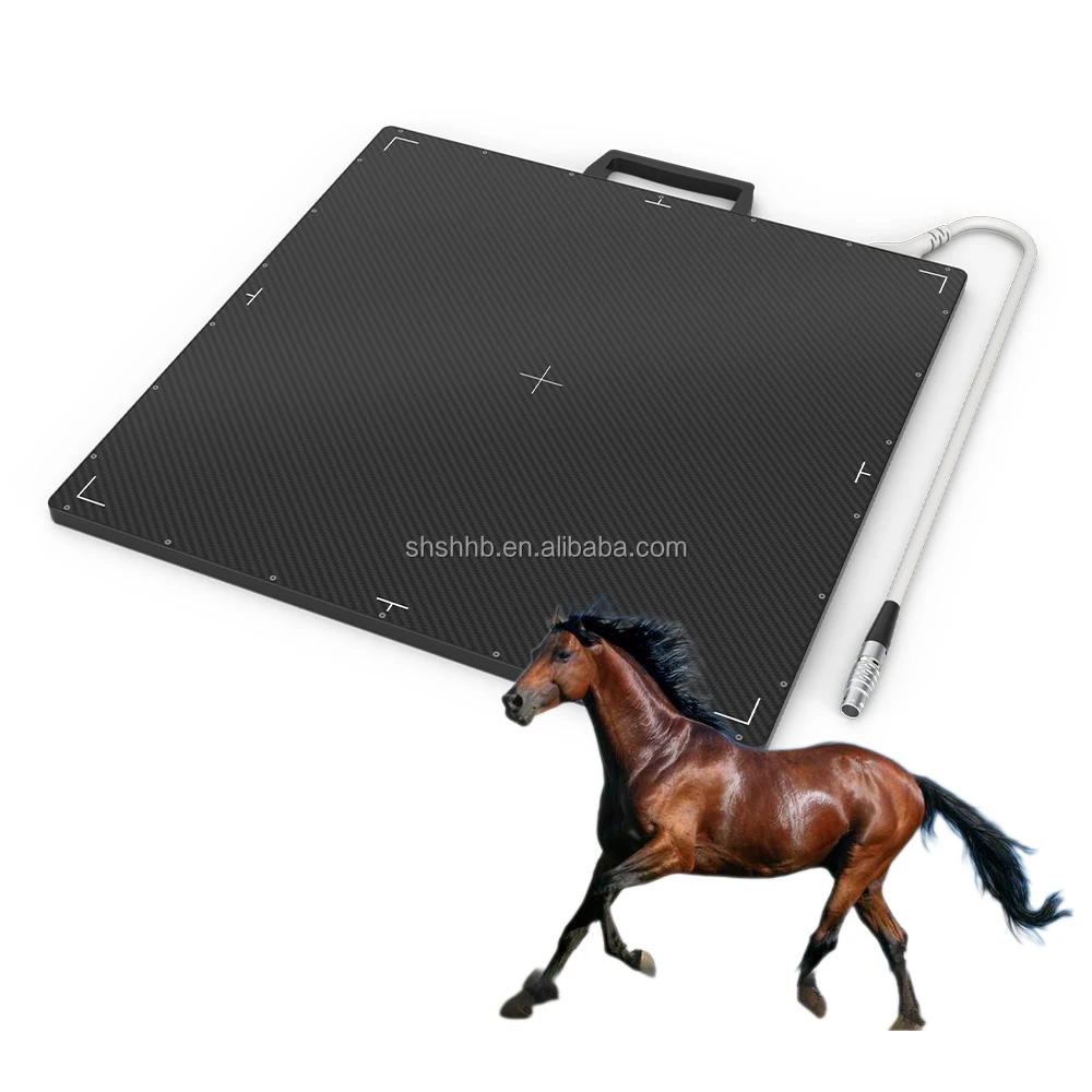 1717 Portable a-Si Digital Veterinary equipment X ray flat panel detector Mobile Radiography Machine for  horse farm animals