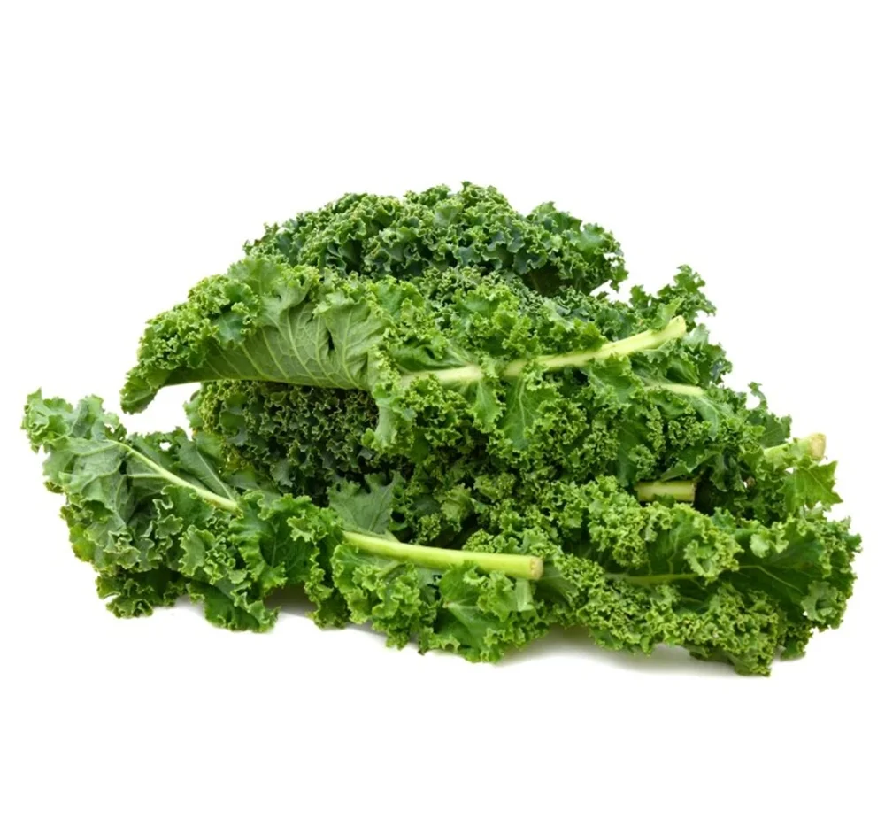 Whole Natural Bulk Organic kale extract powder kale powder