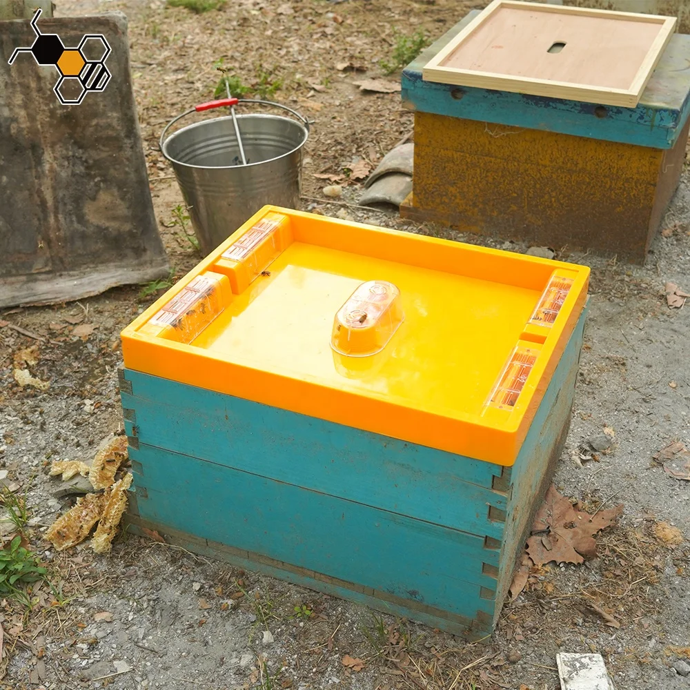 4.5L Bee Water Drinker 10 Frame Automatic Plastic Top Bee Feeder For Hives