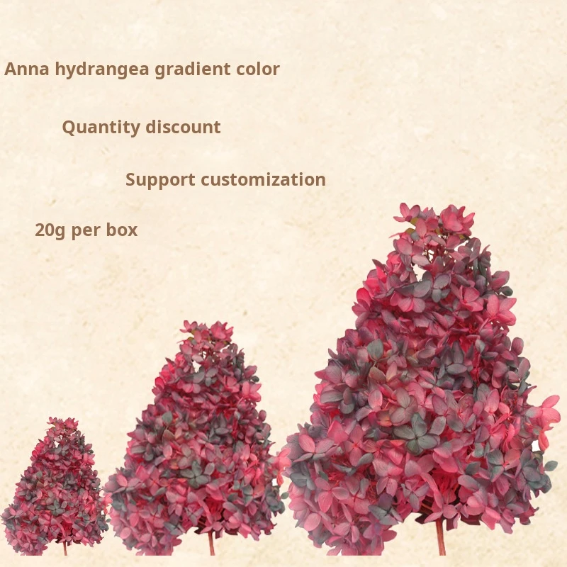 Preserved Flower Gradient Wood Hydrangea 20g Photo Frame Flower Delivery Bride Headdress Flower Diy Material