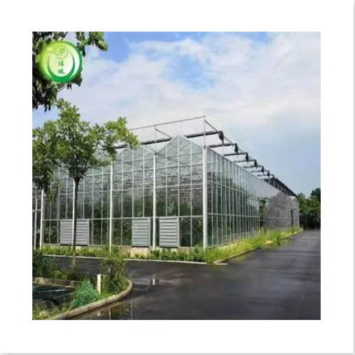 Jiapei Tomato Green House Large Hydroponics Multi-span Film Sheet Greenhouse with Tomato Growing System Large Large Solar Fans