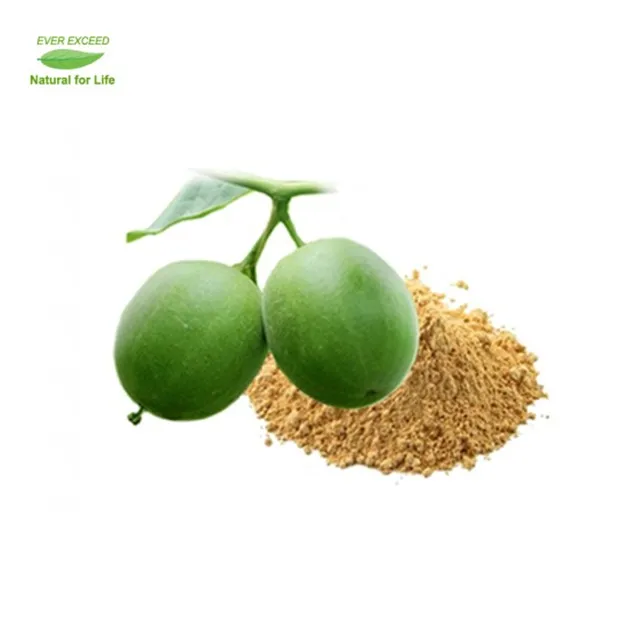 
High quality luo han guo extract monk fruit extract powder mogrosideV50% natural sweetener 