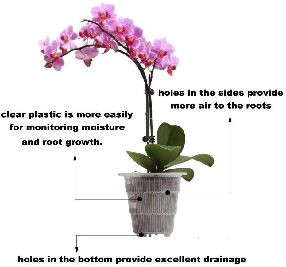 mini clear plastic orchid pot cattleya hybrida planter in 4 inch
