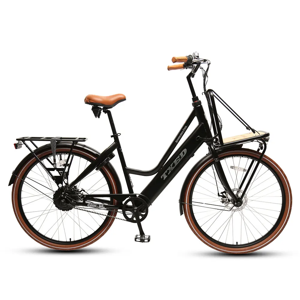 TXED 250W Rear Hub Motor inner 3-speed Electric Cargo Bike Matched With Belt Drive Electric City Bike