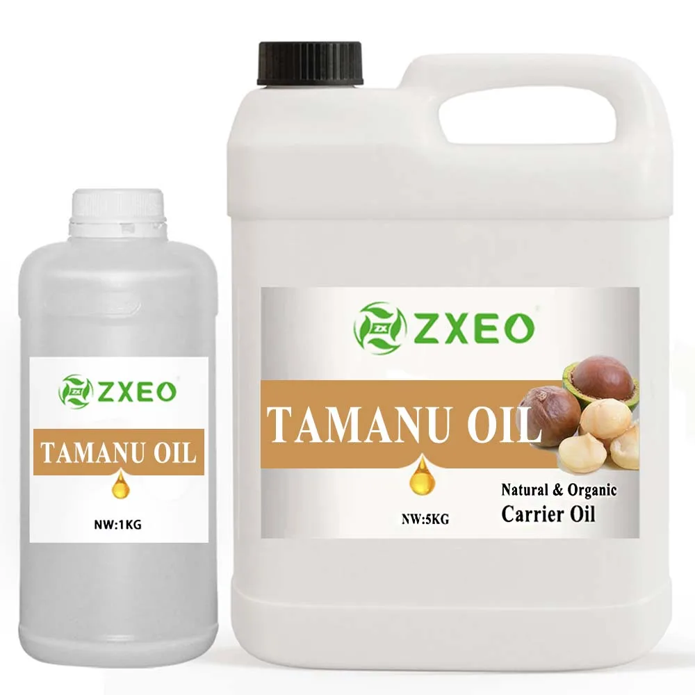Wholesale Bulk Cold Pressed Organic Tamanu Oil 100% Pure Tamanu Seed Oil for Skincare