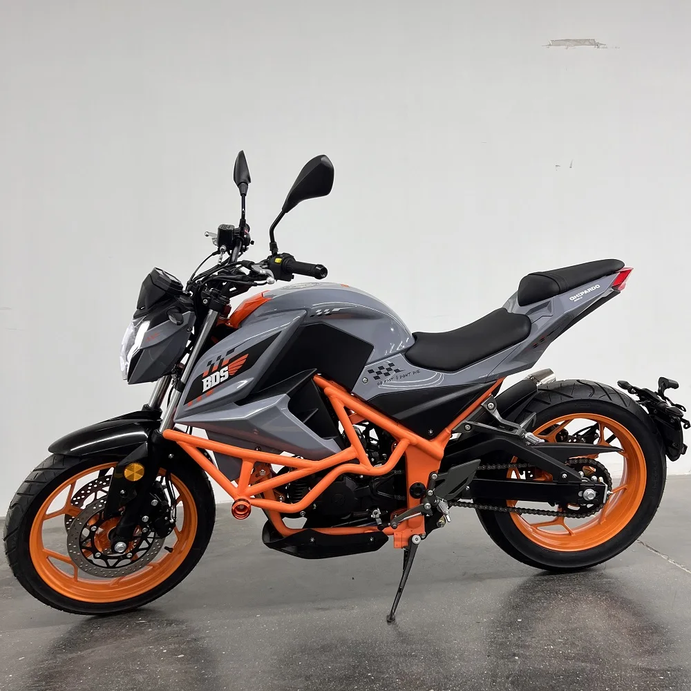 RACING MOTORCYCLE 1 Cylinder,4 stroke Air Cooled Electric+kick start double Disc brake single Disc brake Hydraulic Suspension
