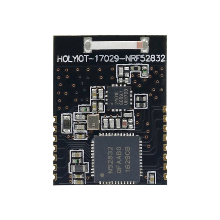 Holyiot Oem/odm Factory Sales Small Size Multi-device Transmission Rf Sigmesh Ad Hoc Network Module