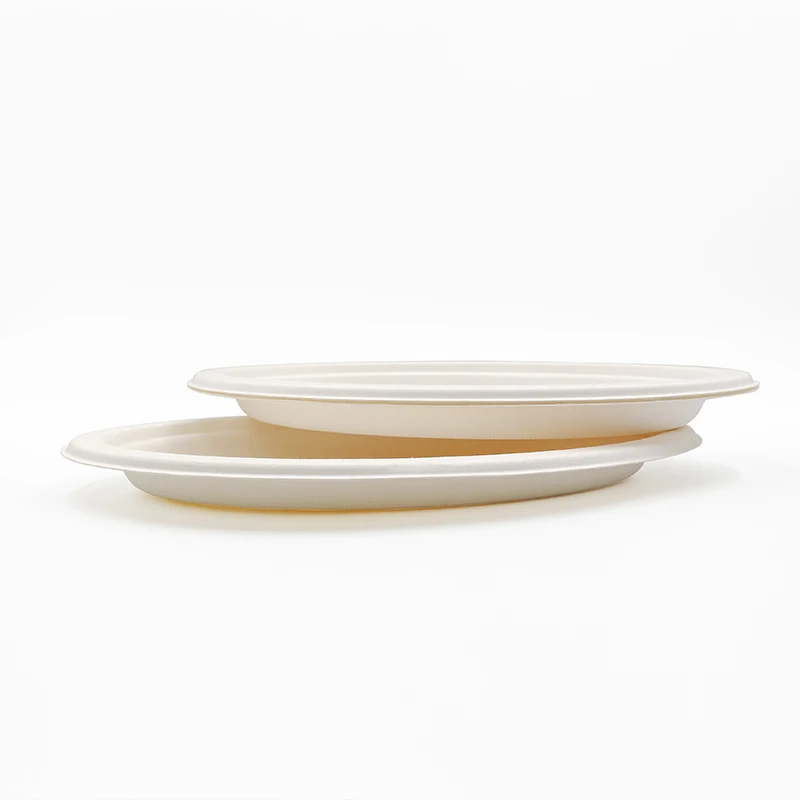 Hot Selling Eco-friendly Compostable Plates Square Round Sugarcane Plates With Various Popular Design