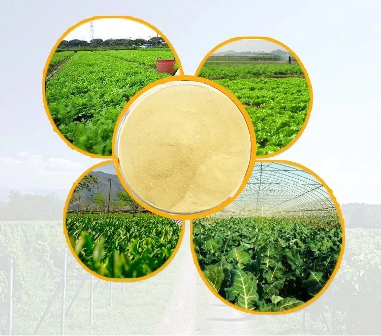 Organic Fertilizer Amino Acid Fertilizer Foliar Fertilizers 100% Natural Source