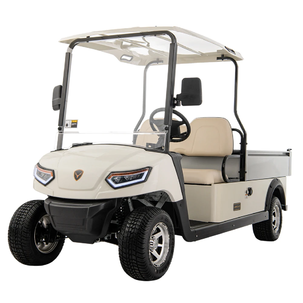 Leroad L2 Golf Cart 2 Seat utility cart Aluminum cargo box Electric new energy lithium battery  truck shuttle 2 special vehicle