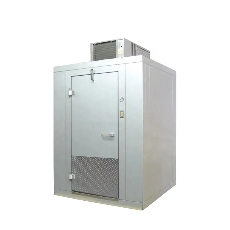 Easy-to-install freezer room/cold storage/cold room for medical