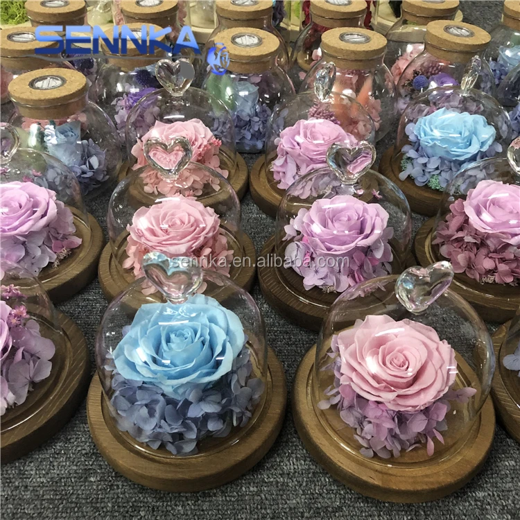 Freeze Dried Rose Petals perfectly preserved flower in mini glass dome