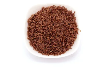Wholesale Freeze Dried Bloodworms Fish Feed Freeze Dried Food